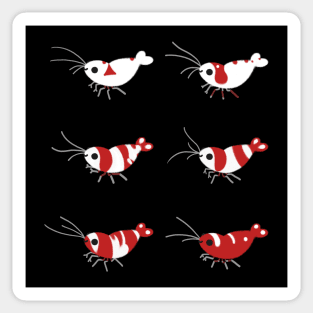 Crystal red shrimps Sticker